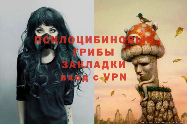 крисы Абдулино