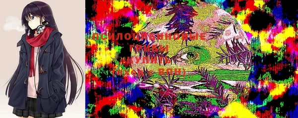 первитин Абаза