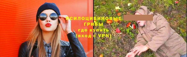 Альфа ПВП Елабуга
