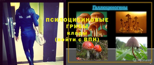 крисы Абдулино
