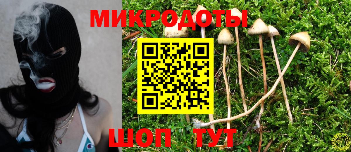 Псилоцибиновые грибы GOLDEN TEACHER Янаул
