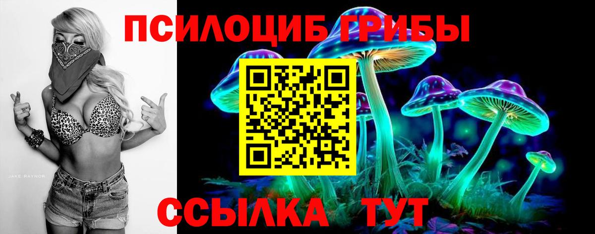Галлюциногенные грибы MAGIC MUSHROOMS  Вход с VPN  Янаул 